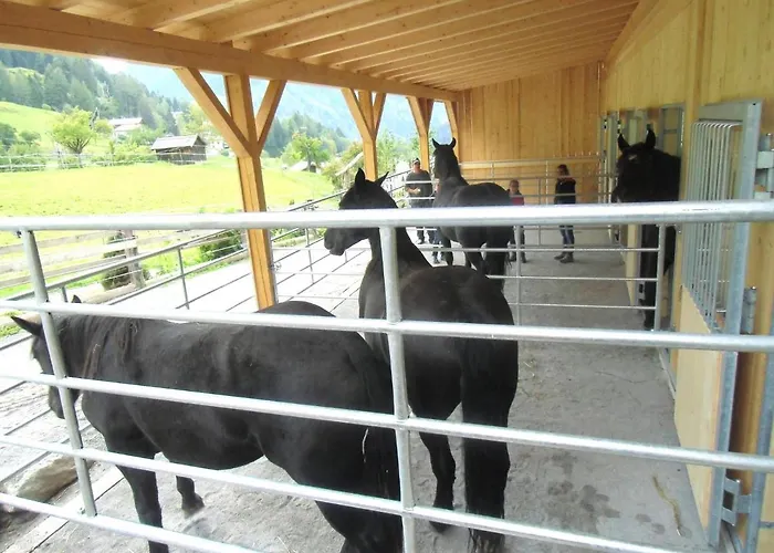 Apartmán Petter 2 *